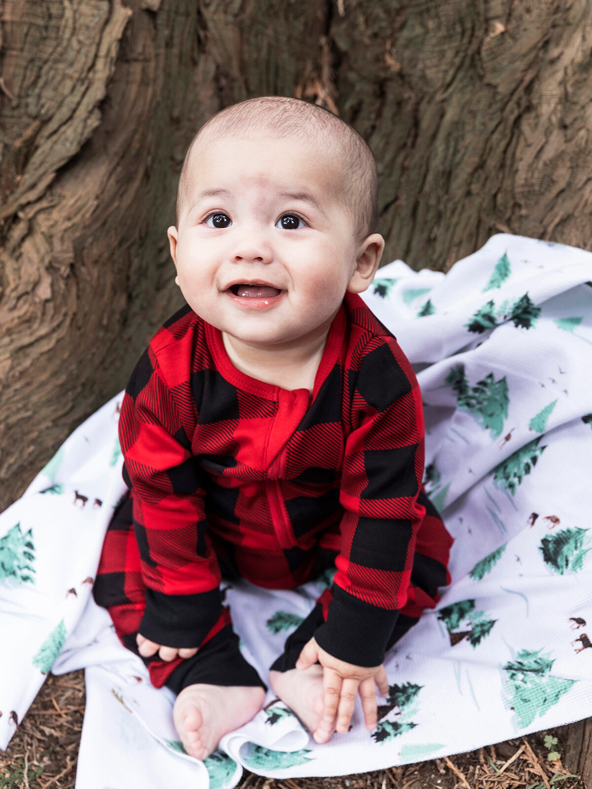 Thermal Cabin In The Woods Baby Blanket