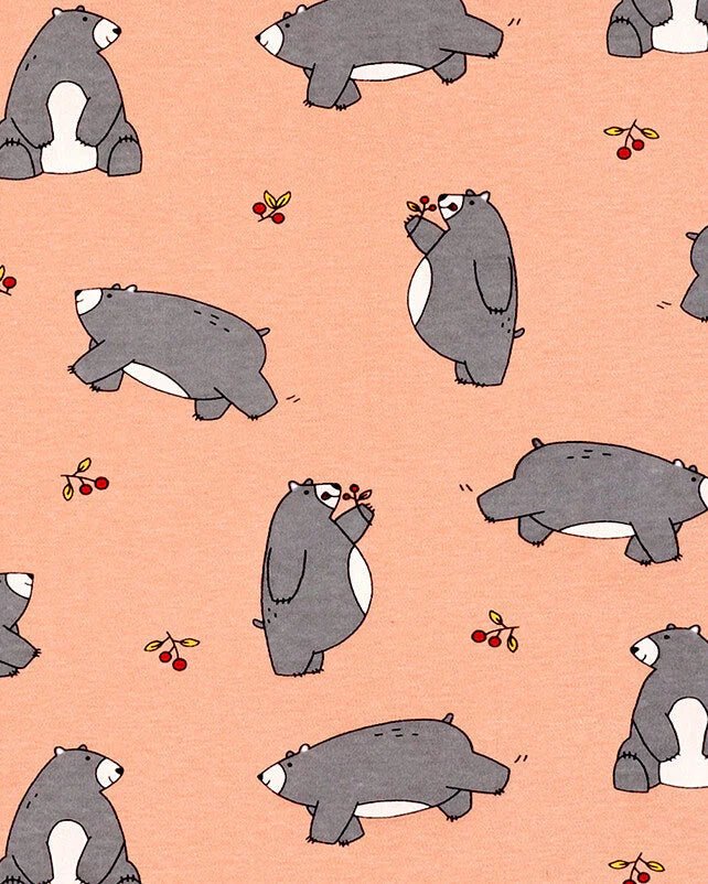 Beary Bear - Sibling & Me - Millie + Moose