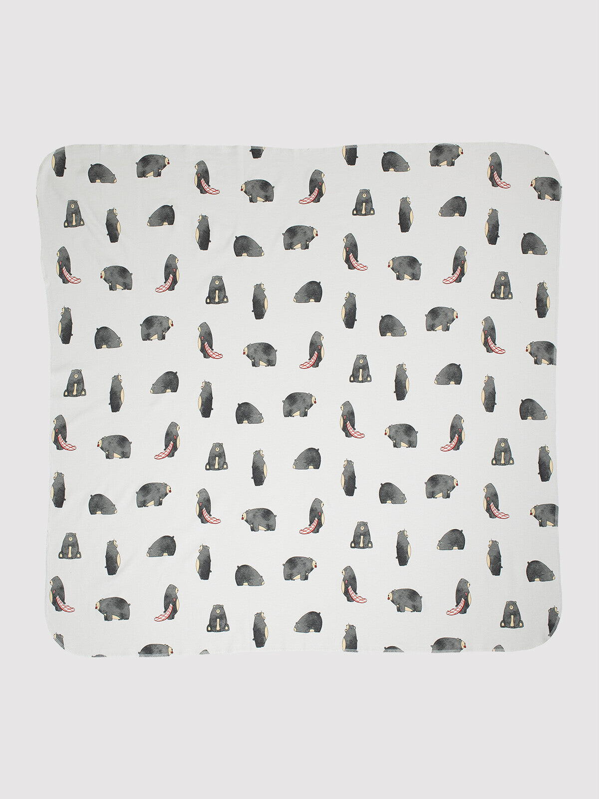 Baby Bear Baby Blanket