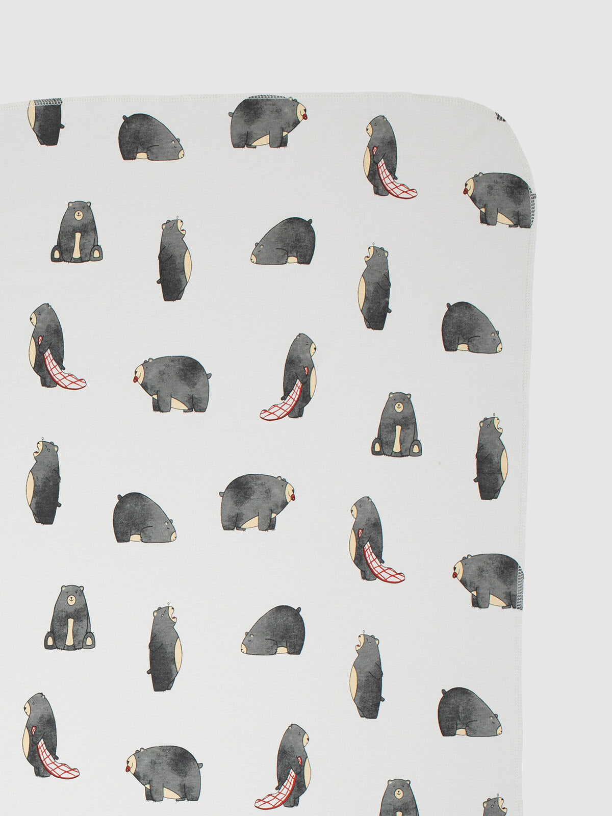 Baby Bear Baby Blanket