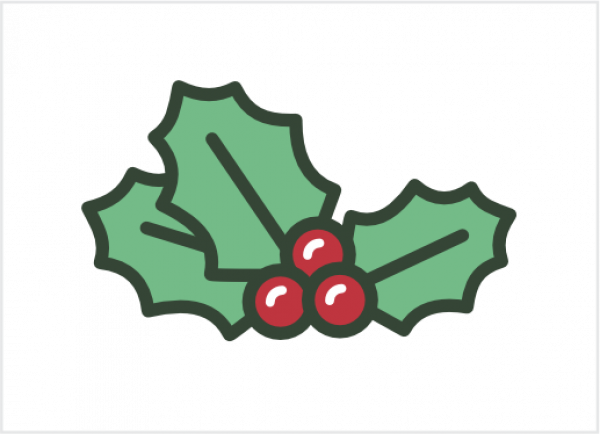 Holly Cuffed Knit Toque