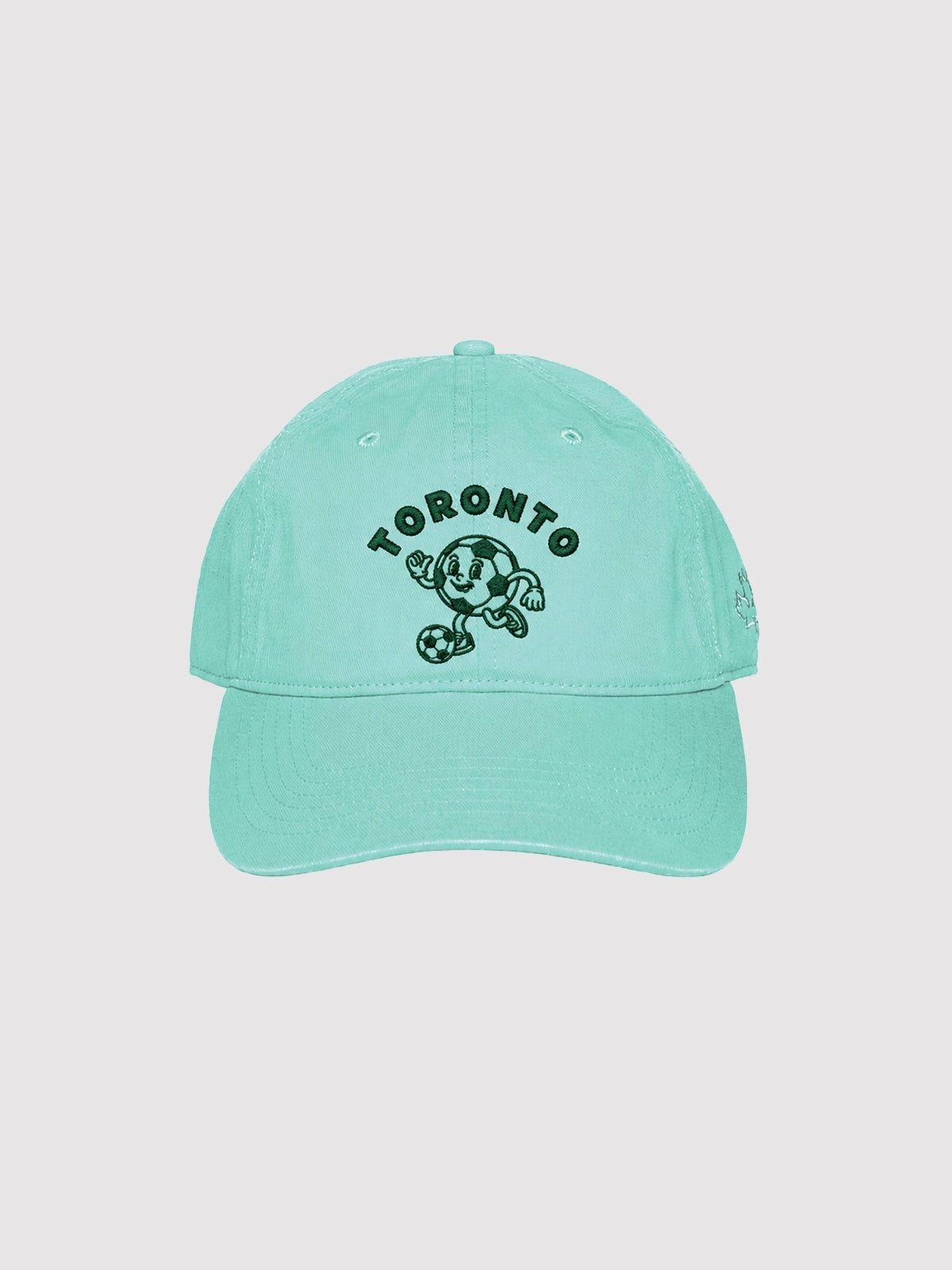 Toronto 2026 Mascot - Teal Dad Hat - Millie + Moose